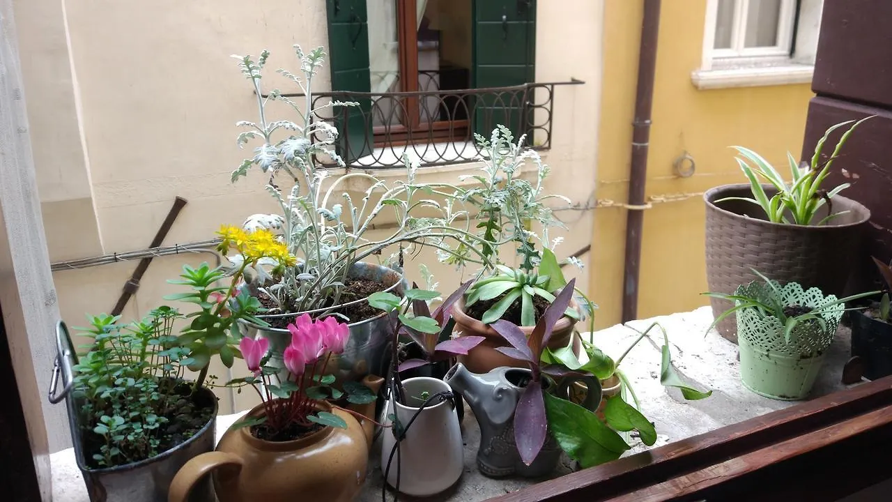 The Academy Hostel Venice